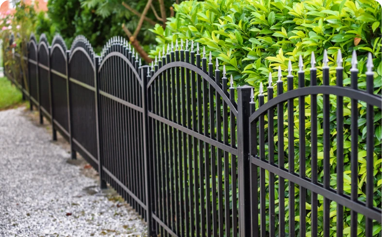 Arched fence alongside green hedge