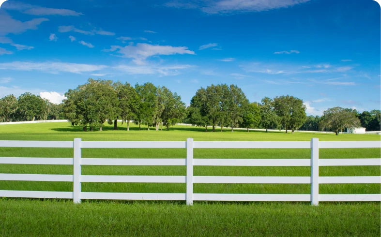 Sunny day in a grassy meadow