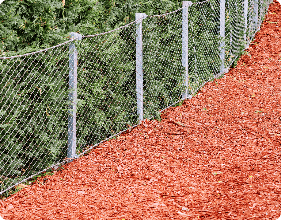 Pathway with mulch and metal fence
