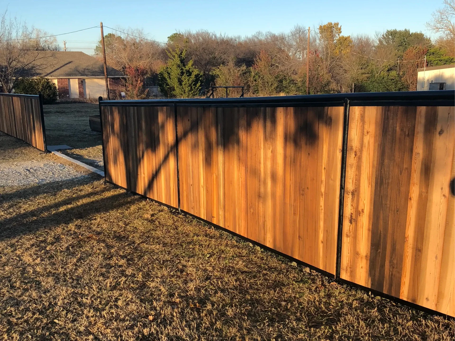 Wooden fence in a backyard with a black top, surrounded by grass and trees, with houses in the background